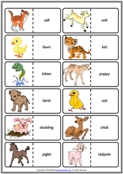 Baby Animals ESL Printable Dominoes Game For Kids