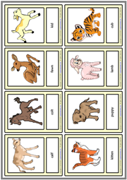 Baby Animals ESL Printable Vocabulary Learning Cards