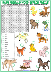 Baby Animals ESL Word Search Puzzle Worksheet For Kids