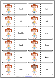 Body Parts ESL Printable Dominoes Game For Kids