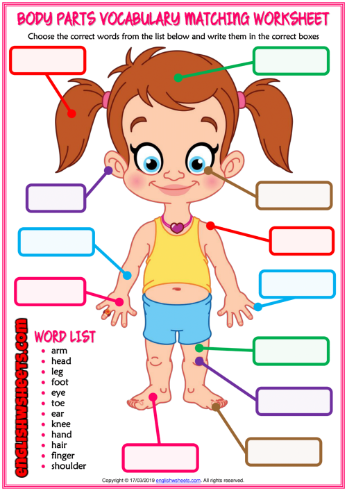 human-body-parts-worksheets-for-kindergarten