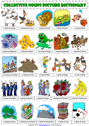 Collective Nouns ESL Picture Dictionary Worksheet