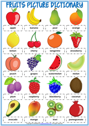 Fruits ESL Printable Picture Dictionary Worksheet For Kids