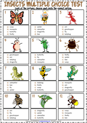 Insects ESL Printable Multiple Choice Test For Kids