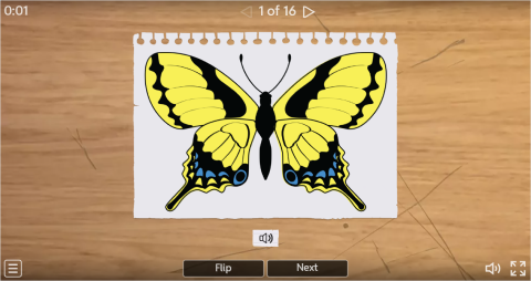 Insects ESL Interactive Vocabulary Flashcards