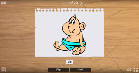 Opposite Adjectives ESL Interactive Flashcards