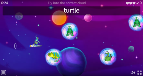 Pets ESL Vocabulary Airplane Game