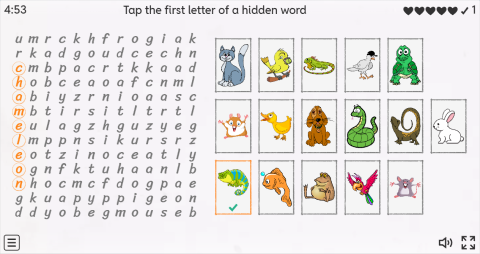Pets Vocabulary ESL Interactive Wordsearch Puzzle