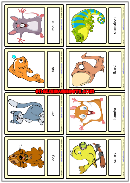 Pets ESL Printable Vocabulary Learning Cards For Kids