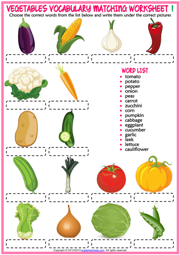 Vegetables Vocabulary ESL Matching Exercise Worksheets